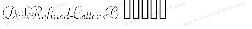 DSRefinedLetter B字体转换
